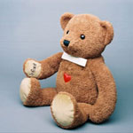 CPR TEDDY